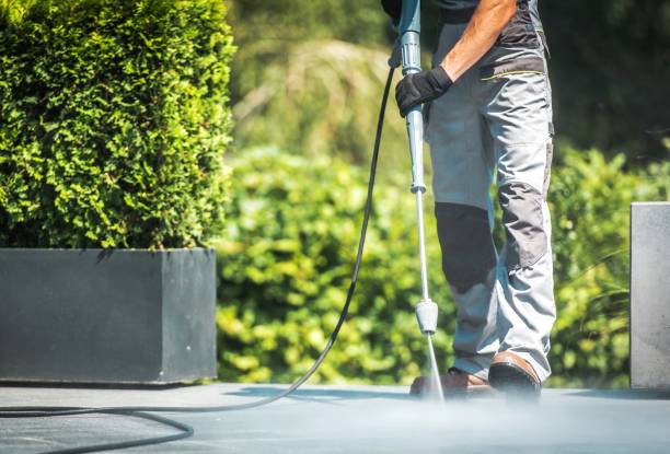 Best Dumpster Area Cleaning  in Hampton, AR