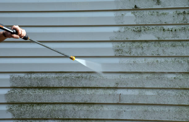 Best Gutter Cleaning  in Hampton, AR