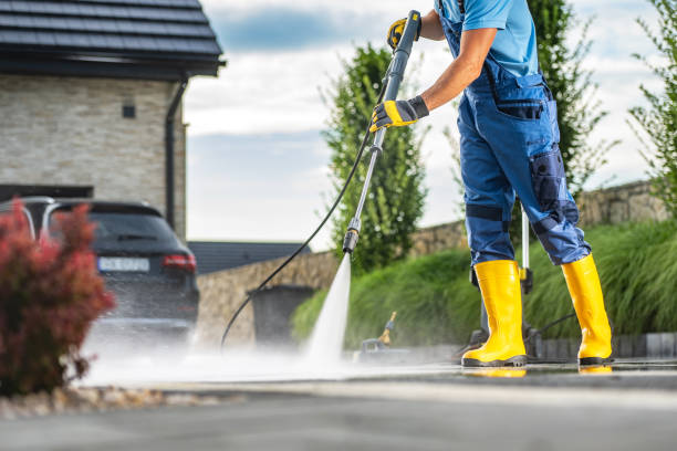 Animal Enclosure Cleaning in Hampton, AR